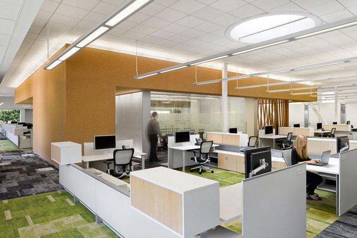 White cubicles sitting upon a green carpet