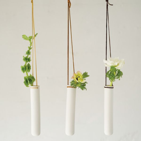 Test tube vases turned into modern hanging planters