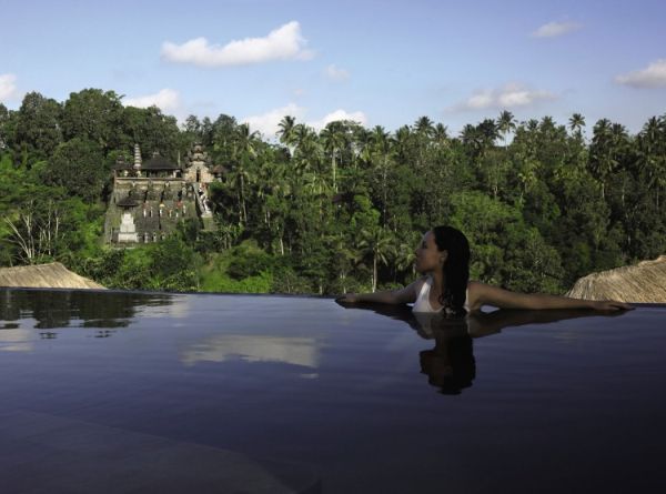 View of the Monkey Forest