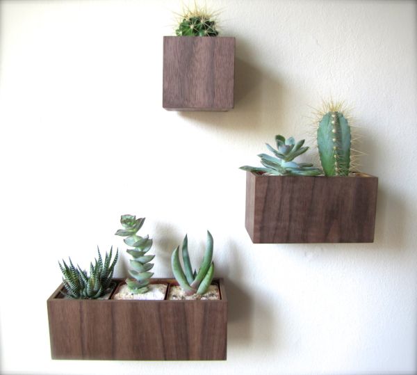 Stylish walnut wood wall planters