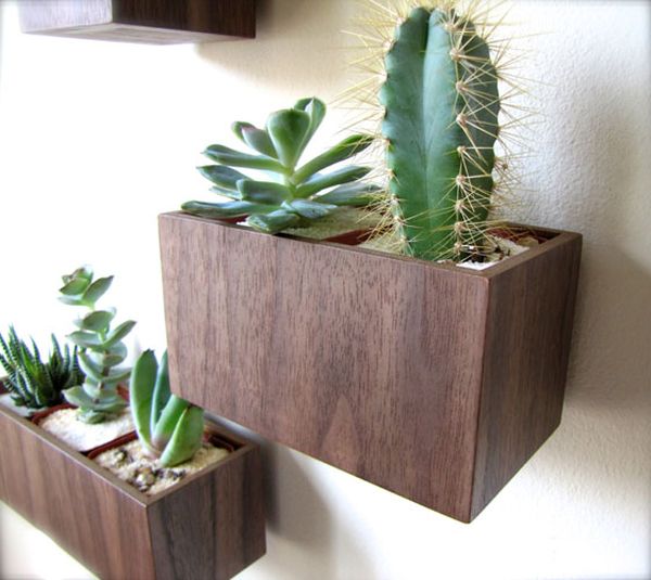 Walnut wood wall planters can be crafted at home