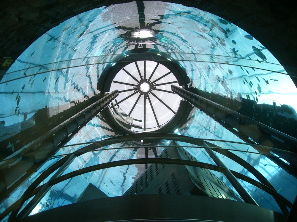 aquadom02