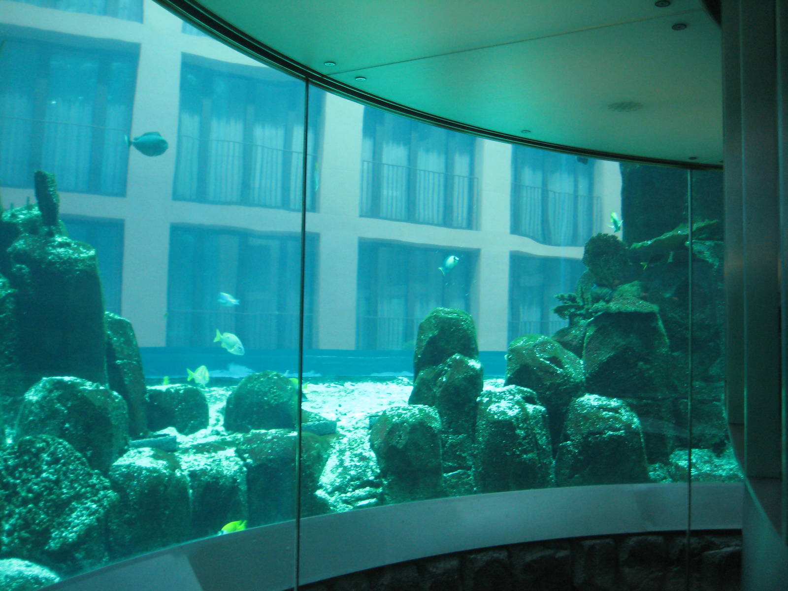 aquadom04