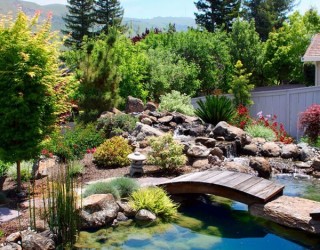 Natural Inspiration: Koi Pond Design Ideas For A Rich And Tranquil Home Landscape!