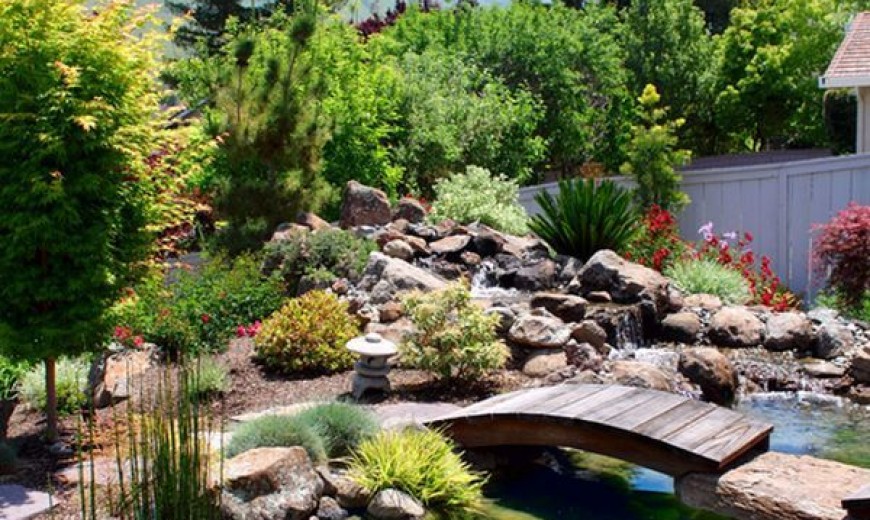 Natural Inspiration: Koi Pond Design Ideas For A Rich And Tranquil Home  Landscape! | Decoist