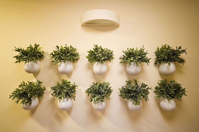 Wall vase arrangements with flowers