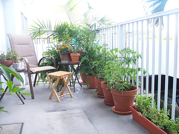 Balcony garden design