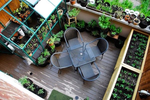 Balcony garden with potted plants