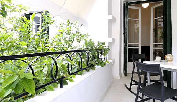 Balcony garden with railing plants