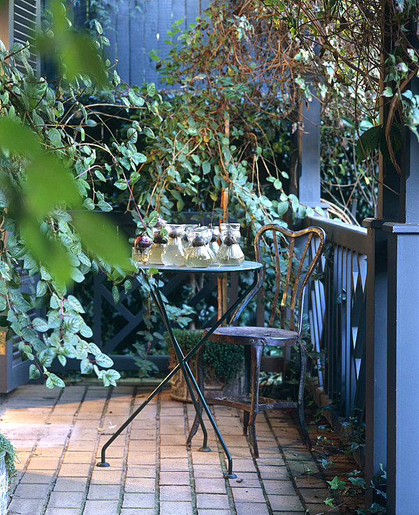 Climbing plants on a balcony