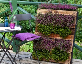 Cool DIY Green Living Wall Projects For Your Home