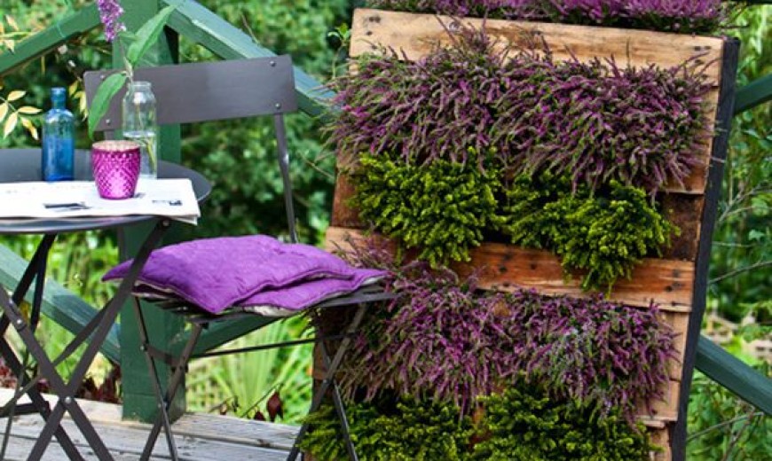 Cool DIY Green Living Wall Projects For Your Home