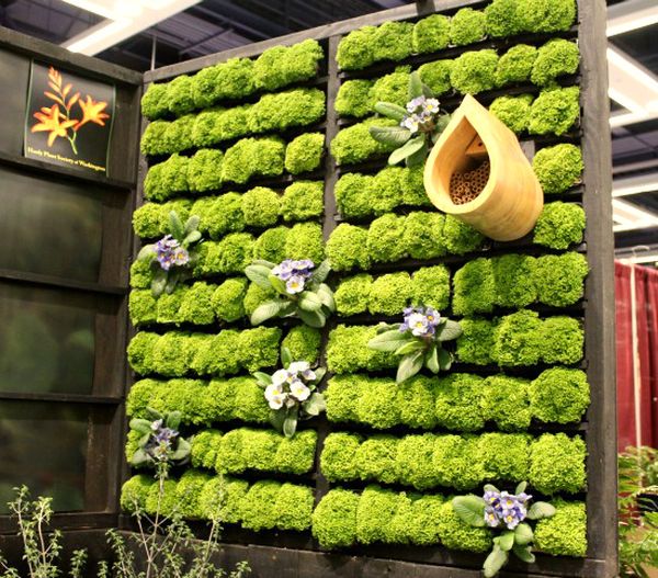 Combine several different wooden pallets to create a grand living wall