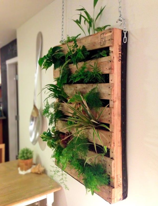 Cool DIY Green Living Wall Projects For Your Home