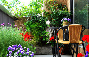 Balcony Gardens Prove No Space Is Too Small For Plants