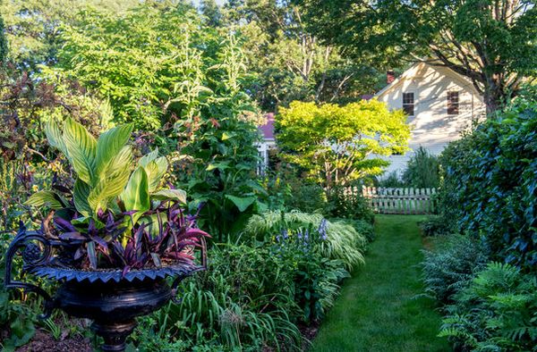 Garden walkway surrounded by a variety of plants