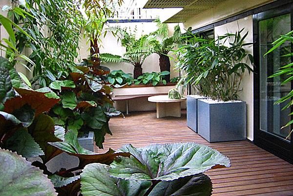 Lush balcony garden