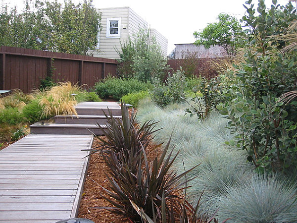 Modern landscaping with native plants