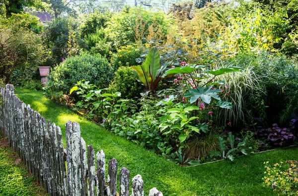 Rare and exotic combination of plants in the garden