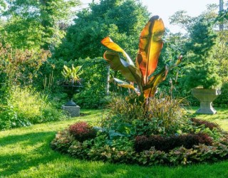 Connecticut Garden Displays Tranquil Beauty Nurtured With Decades Of Care