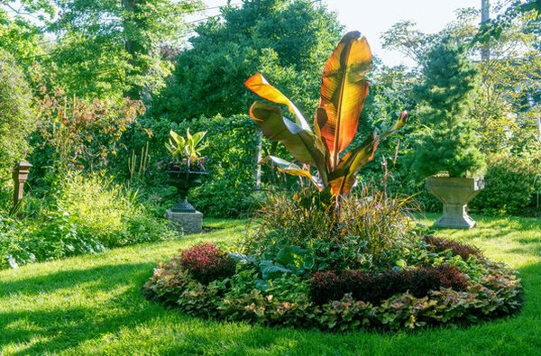 Victorian  circle with burnt orange banana plant at its hear