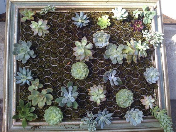 Cool DIY Green Living Wall Projects For Your Home