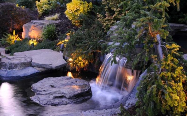 garden waterfall lighting with shrubs