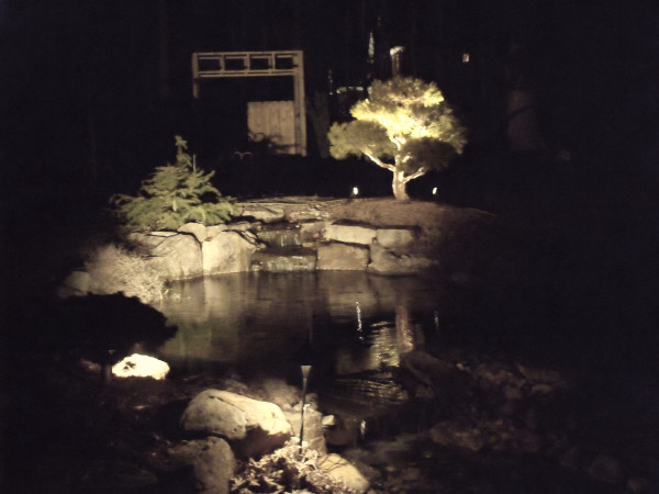 stark white lightingon plants and treed at a garden pond