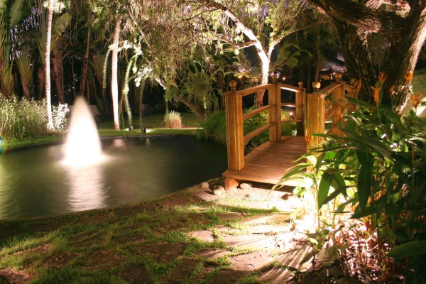 water fountain and bridge with garden lighting