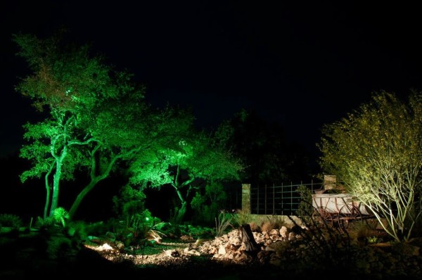 garden with green lighting on trees 