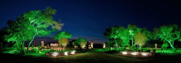 good use of green lighting in a garden