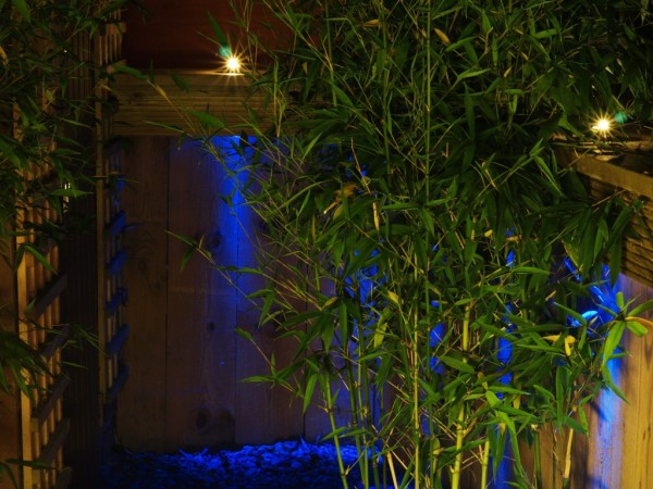 use of blue lighting in garden setting