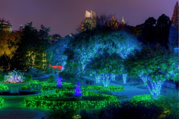 multi-colored lighting in Piedmont Park in Atlanta