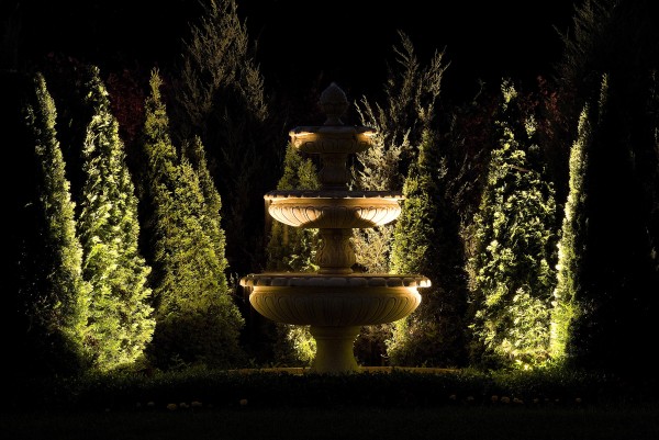 garden lighting from ground illuminates fountain and tall evergreen trees