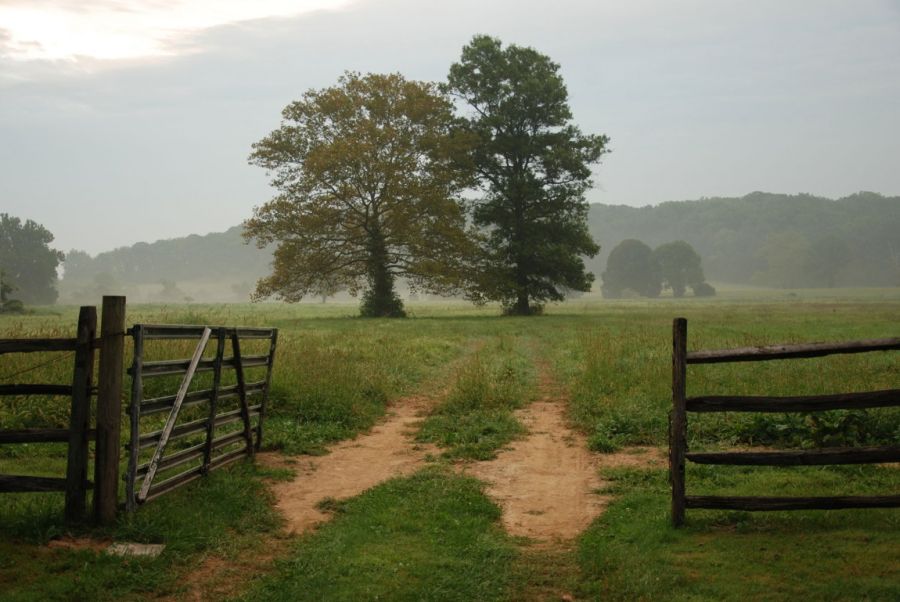 A misty morning at the large Pennsylvanian estate