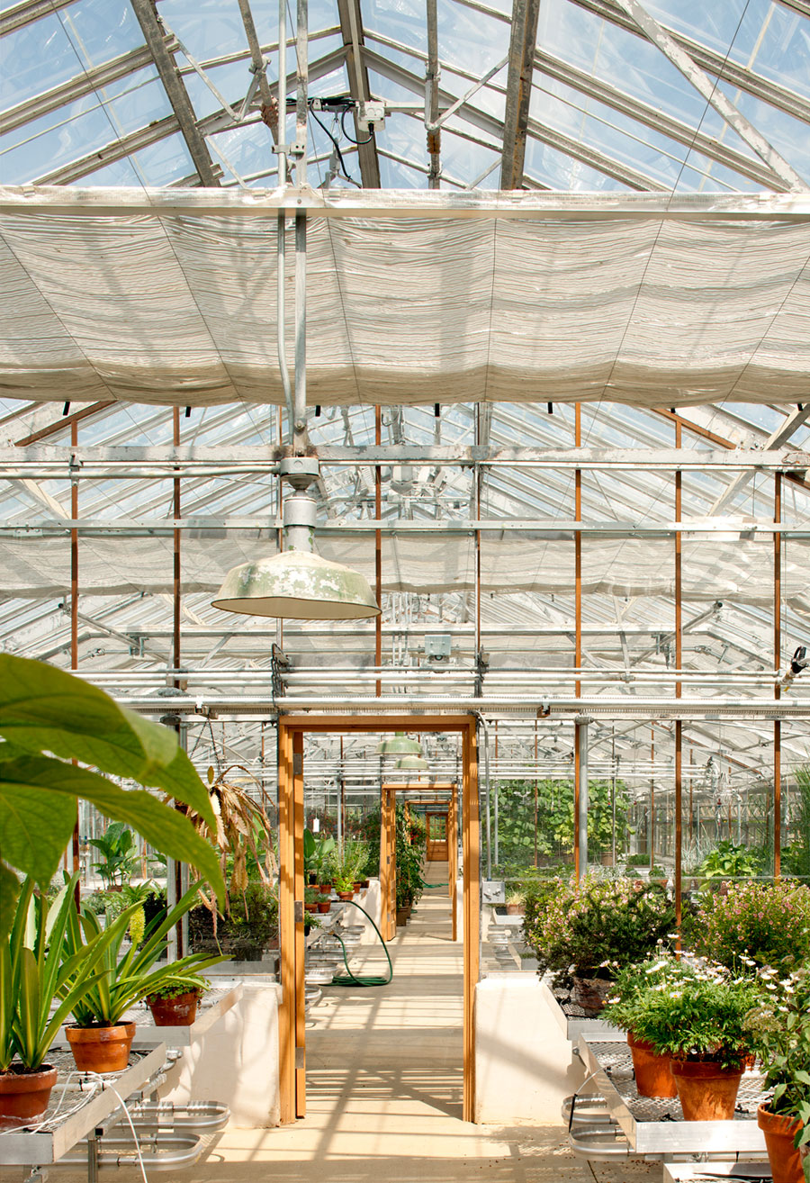 Beautiful greenhouse structures