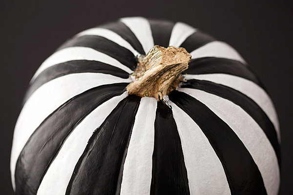 Black and white striped pumpkin