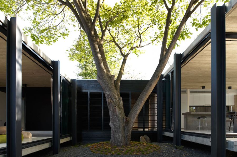 Central courtyard of Elm & Willow House in Melbourne