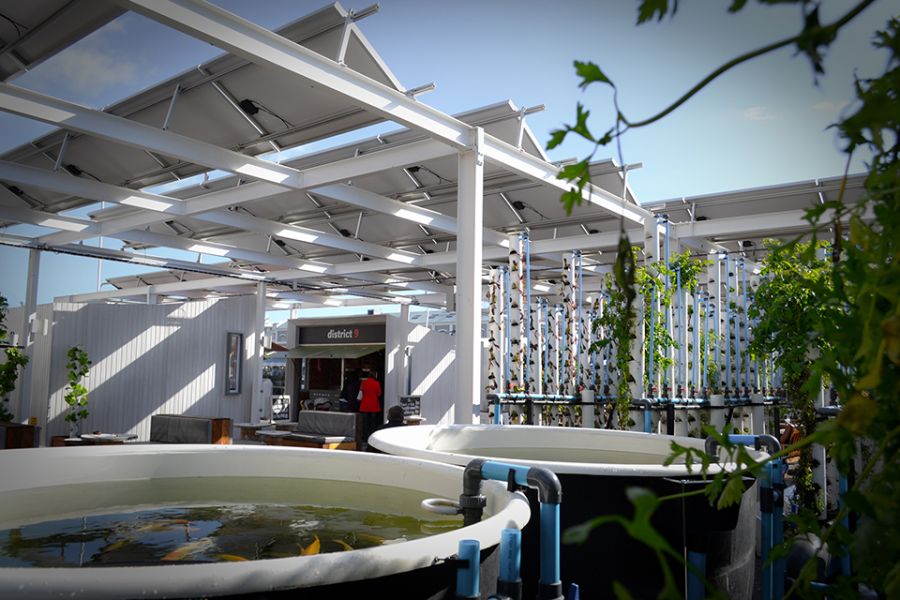 Fish ponds powered by photovoltaic solar panels