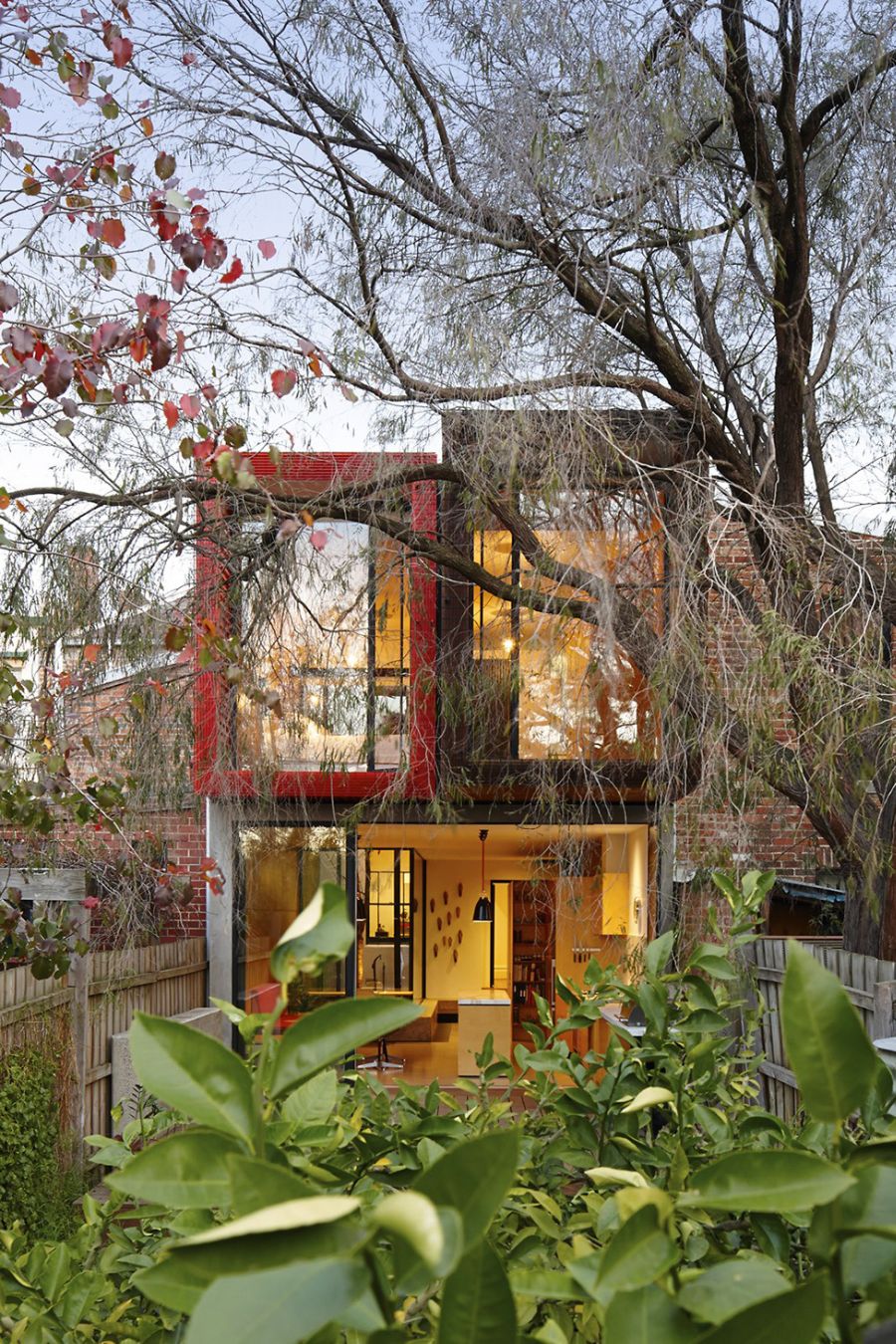 Green canopy around the house