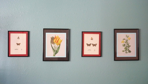 Grouping of botanical artwork