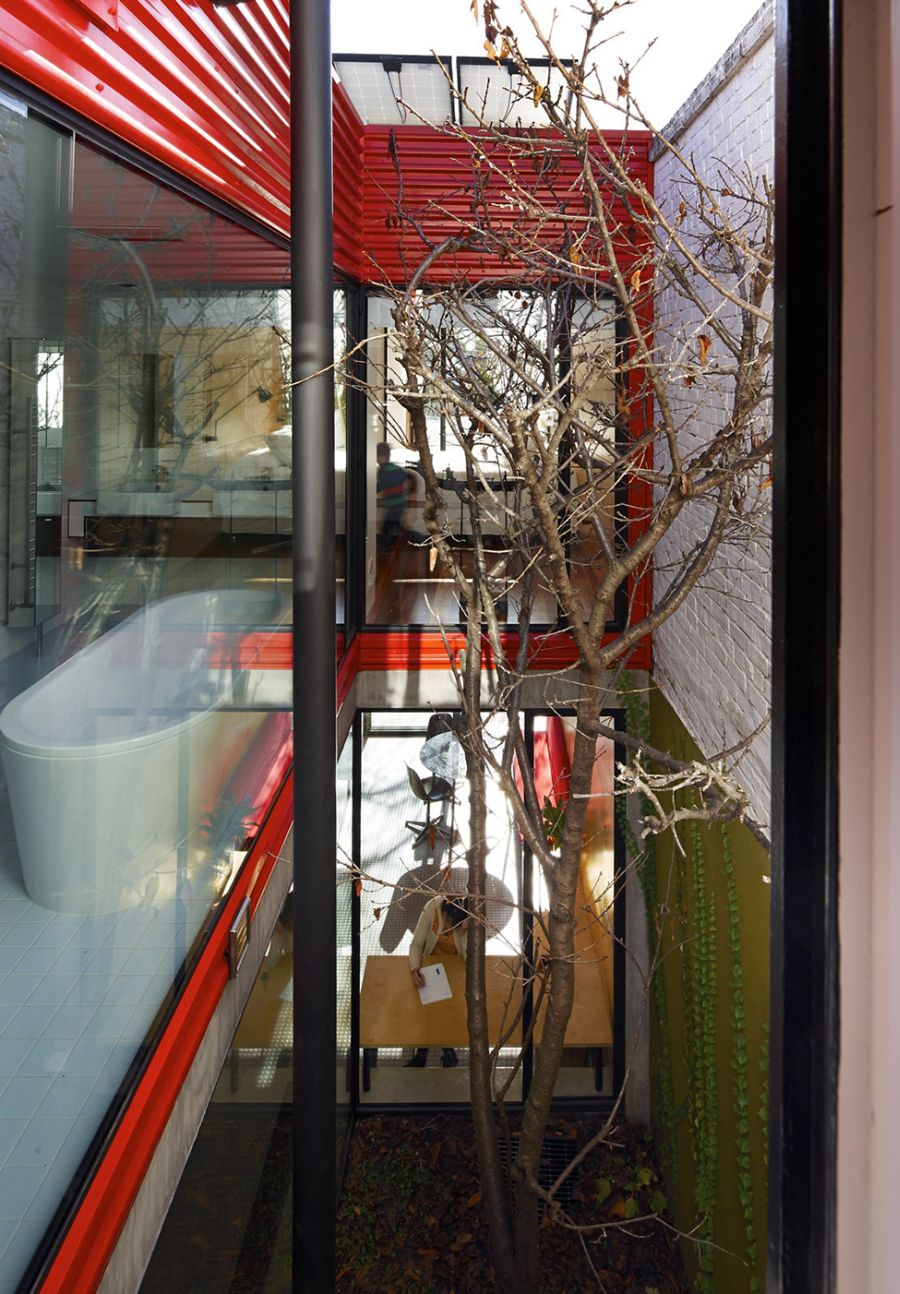 Interior courtyard with maple tree