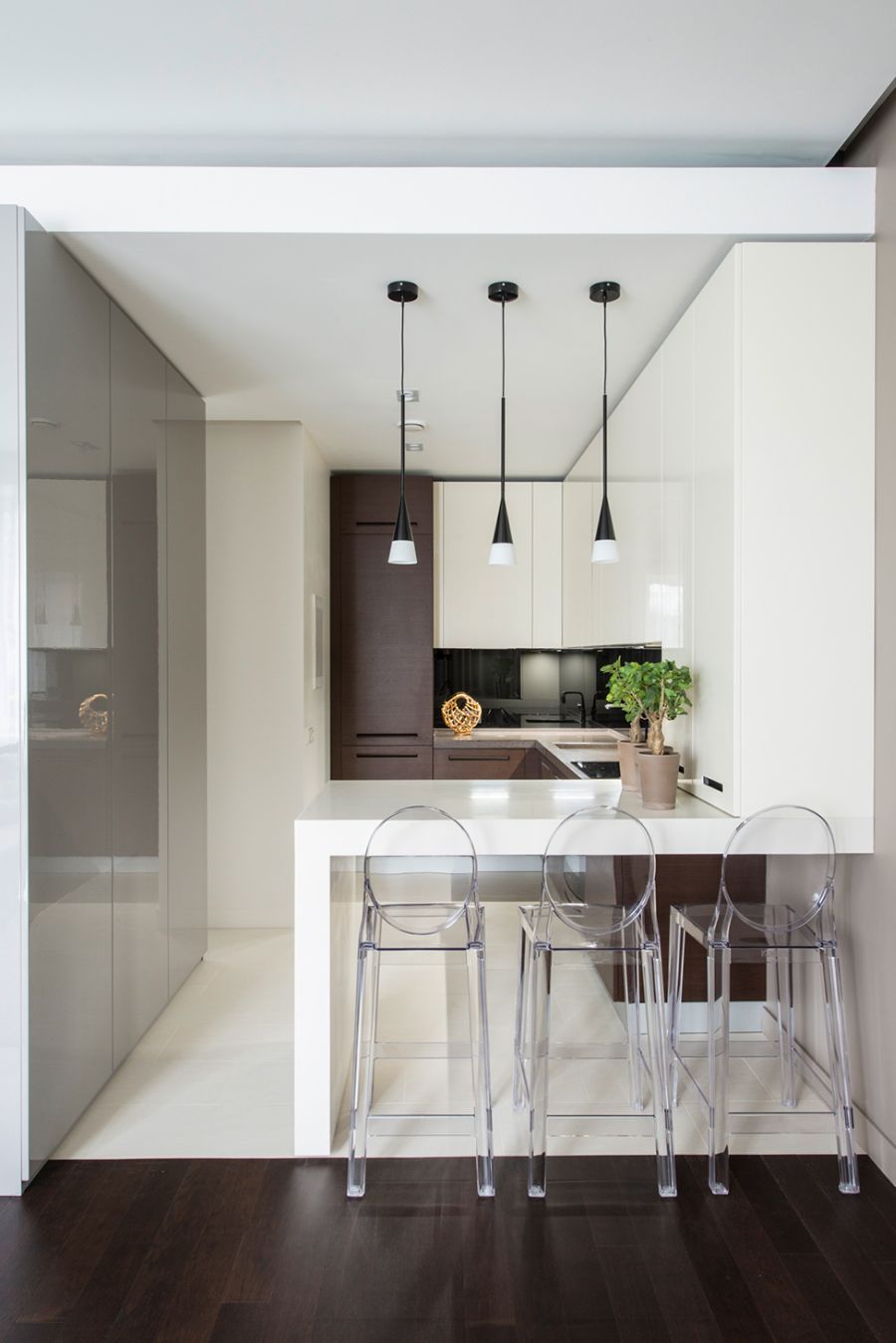 Kitchen of the minimalst home