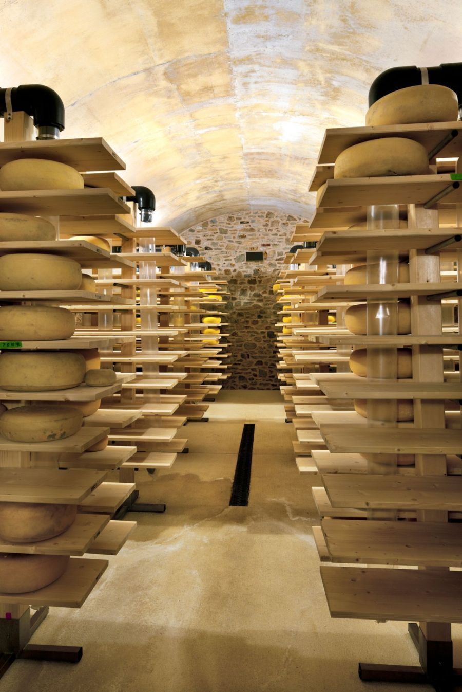 Look inside the cheese factory