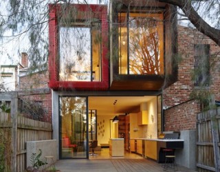 Modern Melbourne House With A Japanese Maple At Its Heart!