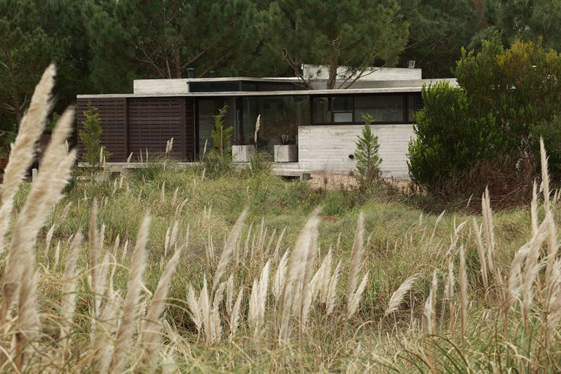 Natural green around the Buenos Aires residence