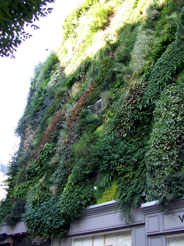 Patrick Blanc Green Wall Paris (2)