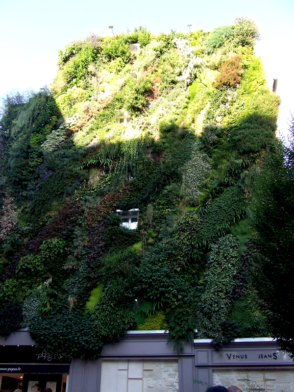 Patrick Blanc Green Wall Paris (3)