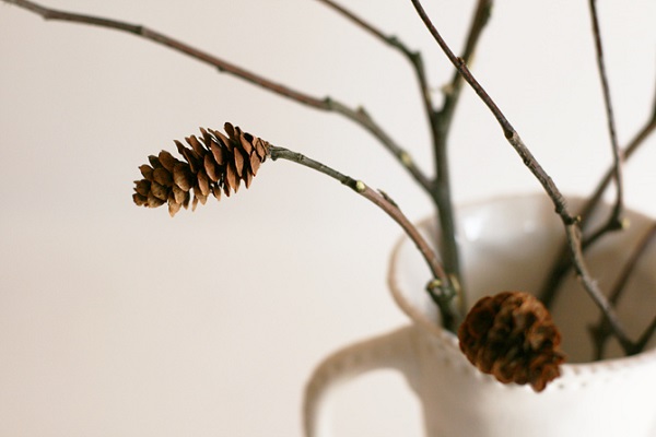 Pine cone flower arrangement