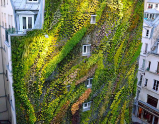 Revealing A Stunning Living Wall: Patrick Blanc's Work for Paris Design Week